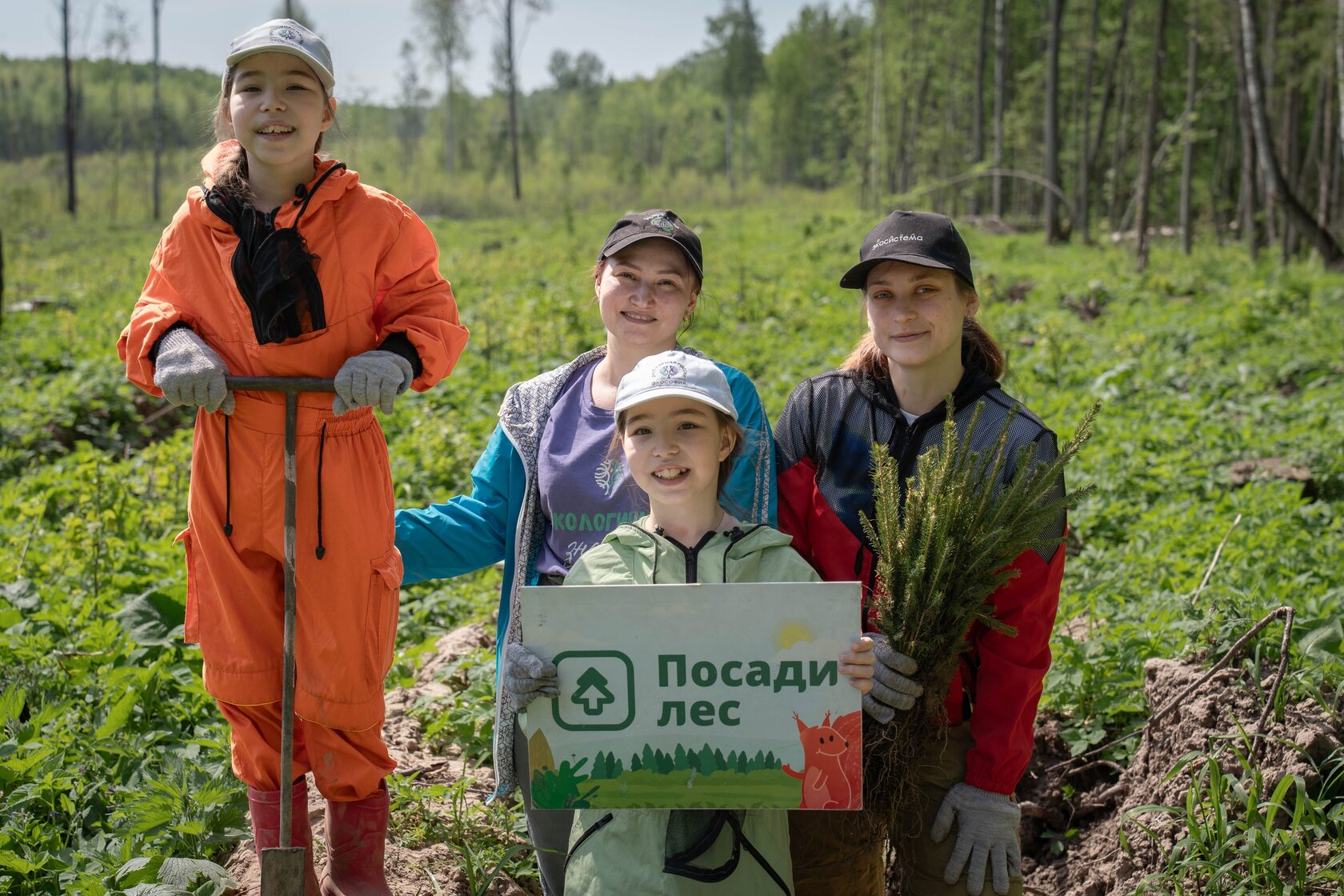 Молодые деревья после посадки