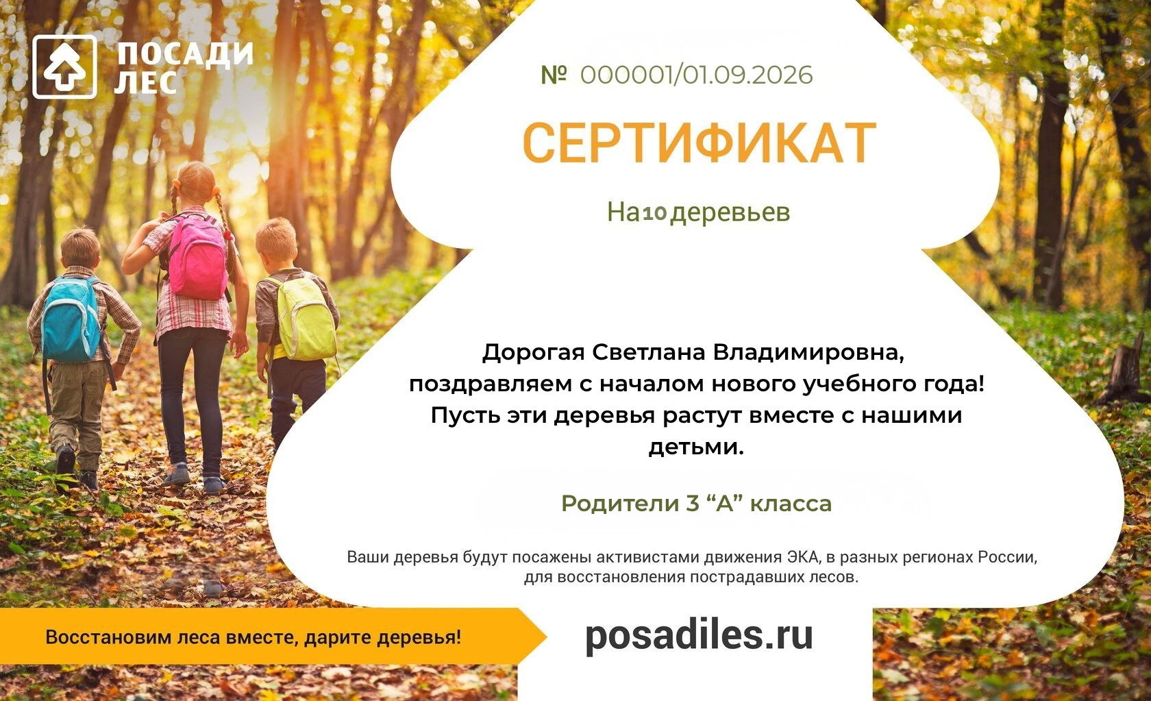 Именной сертификат на посадку деревьев