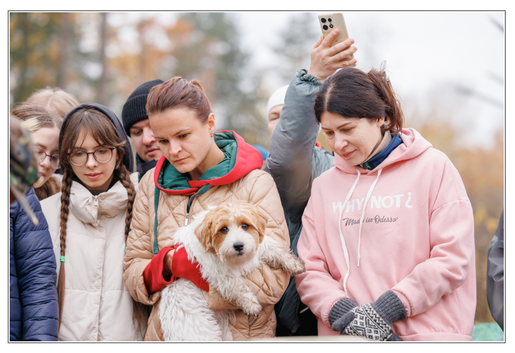 6-02-09 153603.png 6-02-09 153603.png