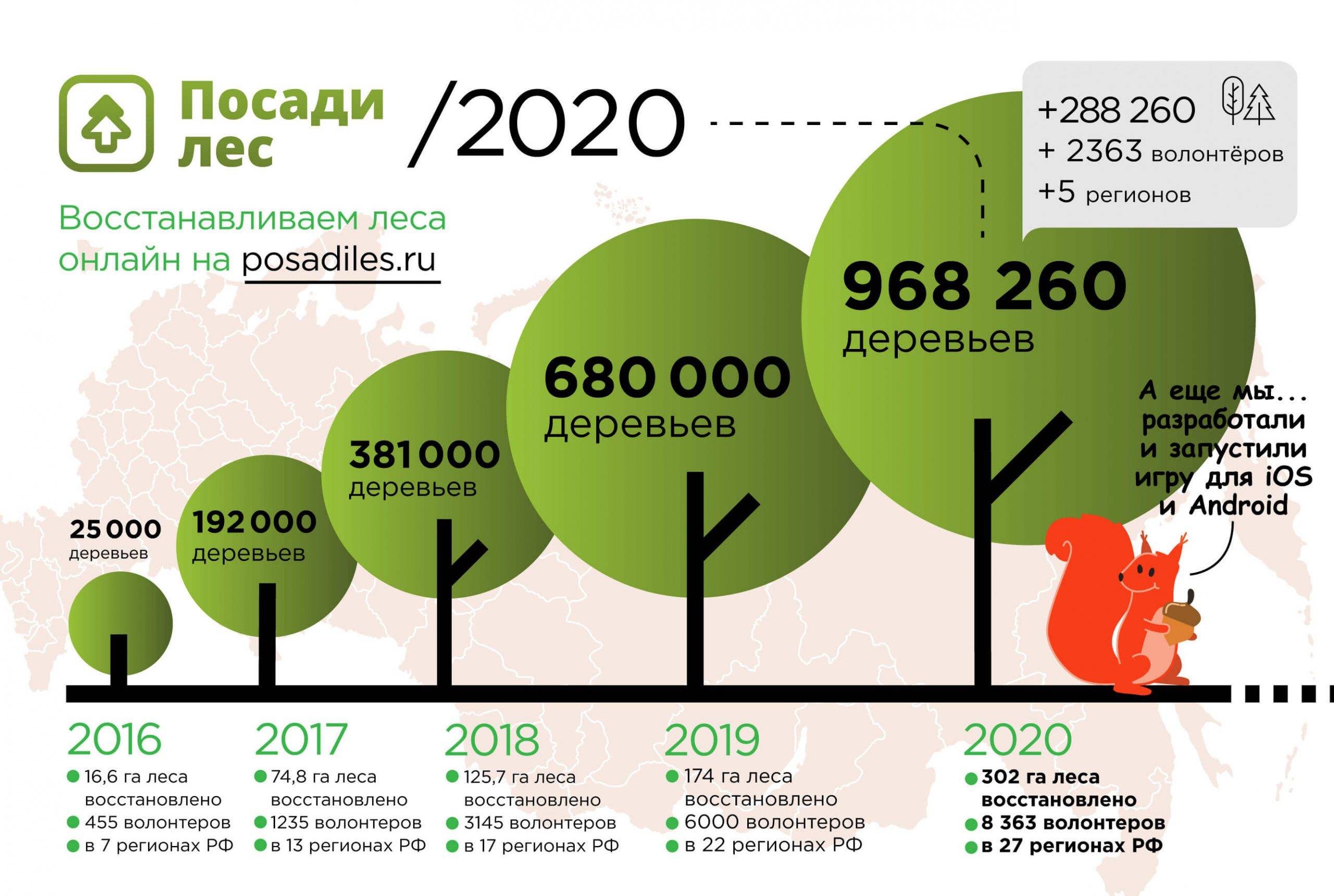 Проект посади лес